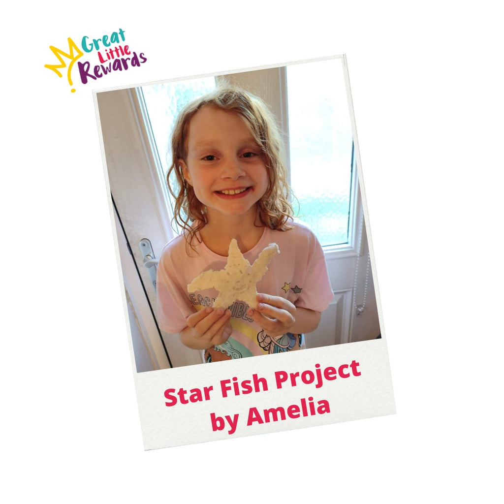 Summer Star Fish Project by Amelia