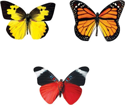 Bold Butterflies - 800 stickers - minibeasts